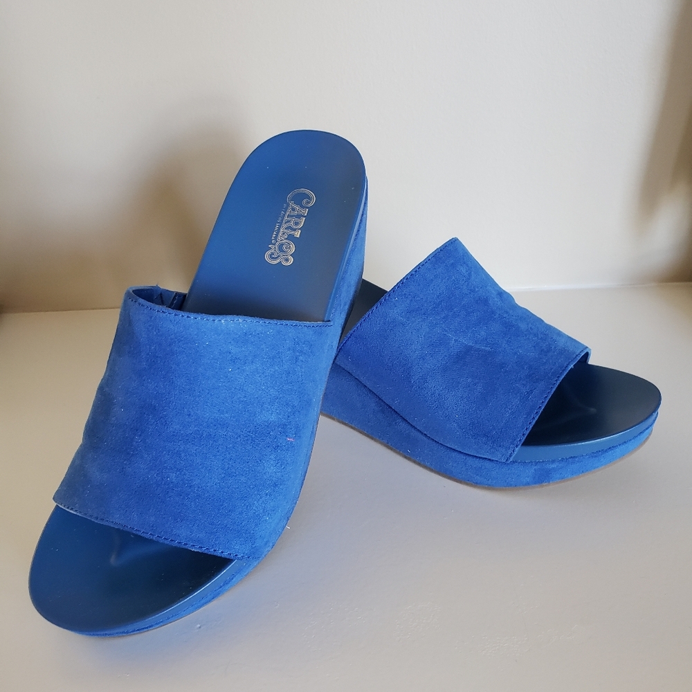Wedges Shoes By Carlos Santana.